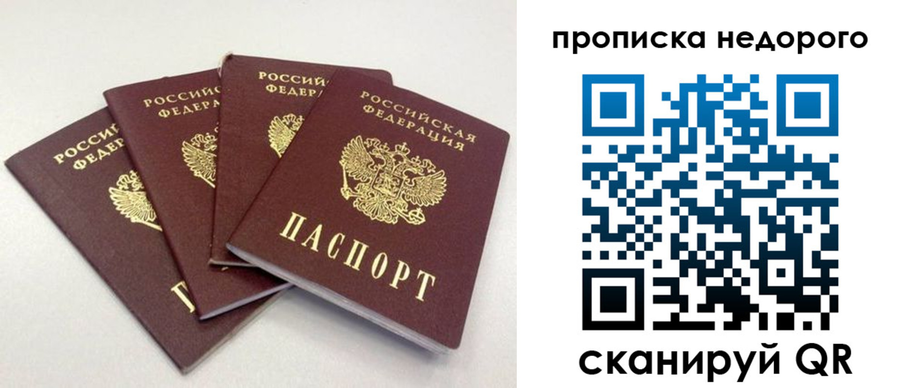 прописка законно в Борзе